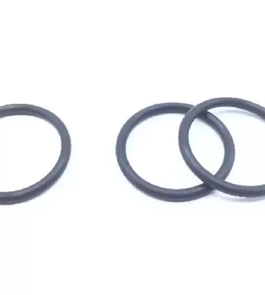 AS3209-119 O- RING (GROUPX)
