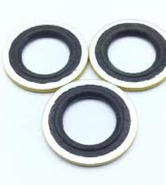 NAS1523AA7Y PACKING WITH RETAINER