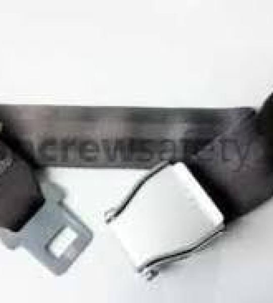 2010-5-011-1169 LOOP EXT ASSY