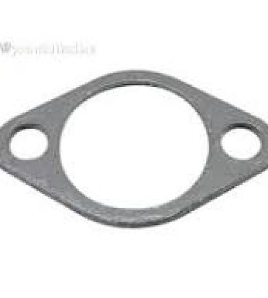 3118962-01 GASKET