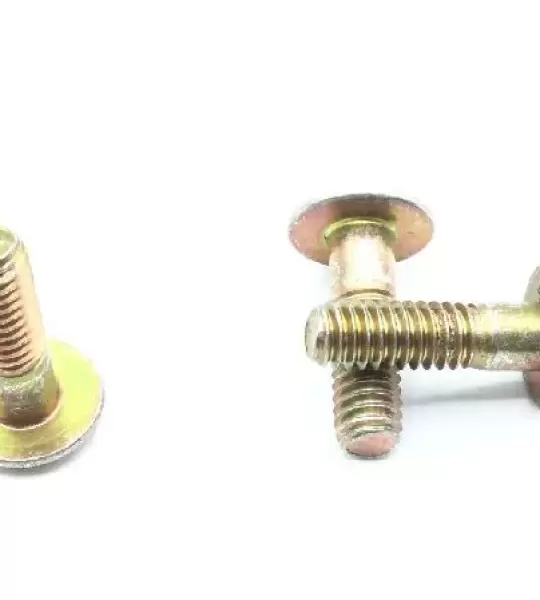 NAS25-832R9 SCREW