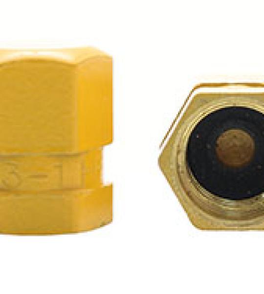 MS20813-1 Valve Cap