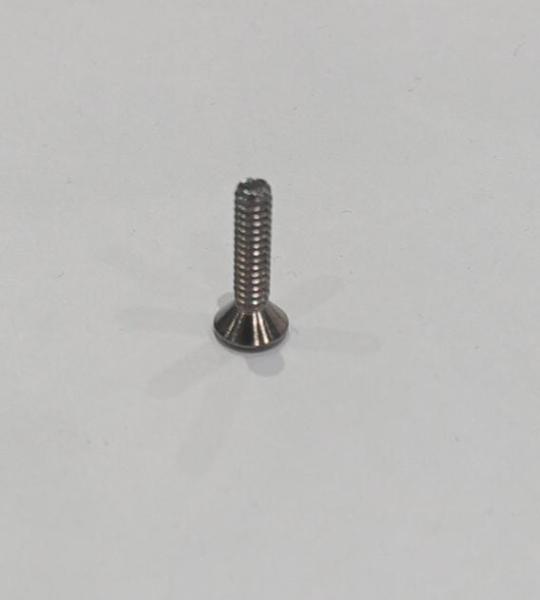 120-079-6-10 SCREW