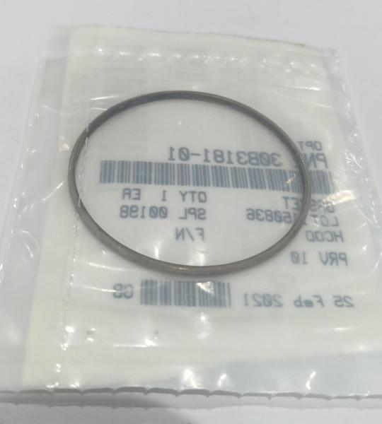 30B3181-01 GASKET