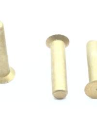 NAS1241AD5-16   RIVET