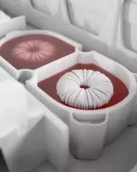 LOCTITE STYCAST 2850FT & Catalyst 23LV BLACK