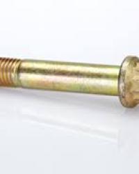 MS21250-D5016 BOLT