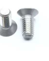 NAS1102E3-7 SCREW