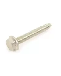 N5103339419  bolt hex head