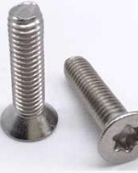 A1635-133 SCREW