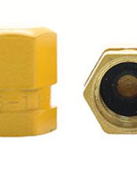 MS20813-1 Valve Cap