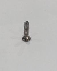 120-079-6-10 SCREW