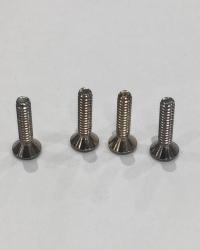 120-079-6-10 SCREW