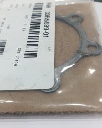30B5599-01 GASKET