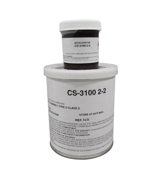 CS 3100