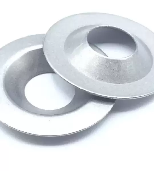 NAS1169C416L WASHER