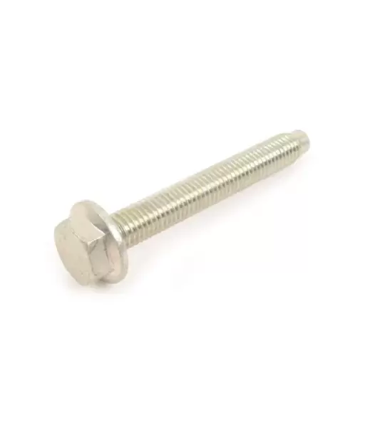 N5103339419  bolt hex head