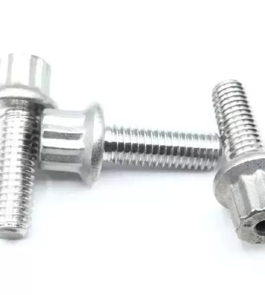 MS9556-07 BOLT