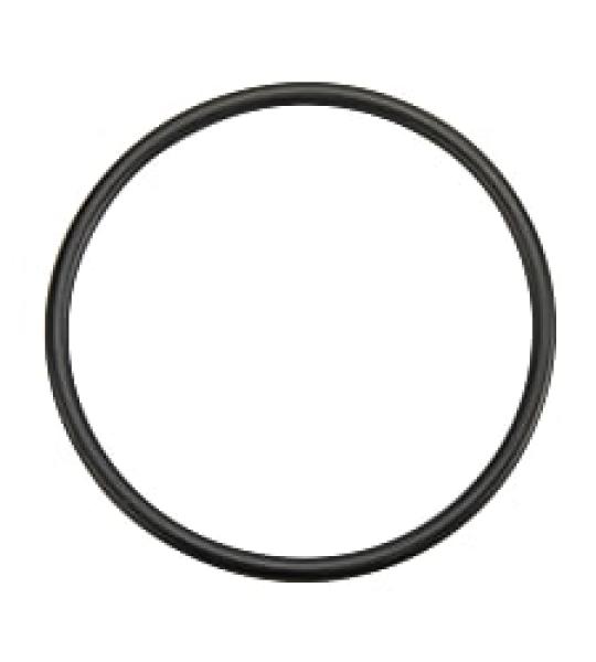 9200-111-0 -O RING