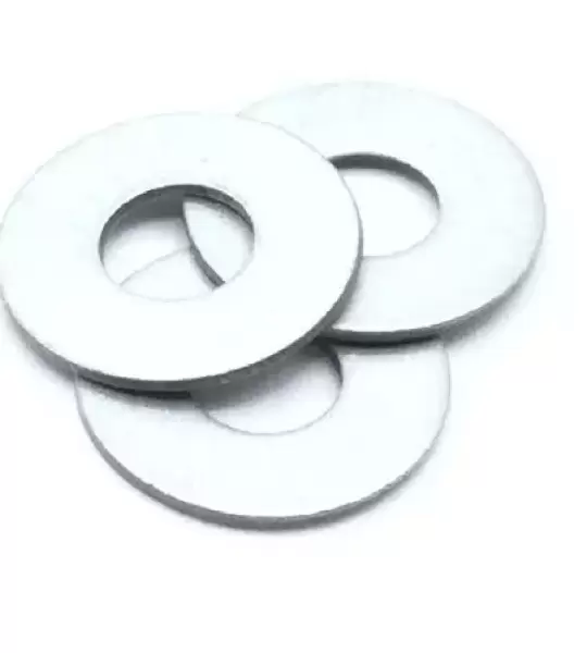 NAS1149D1416K WASHER