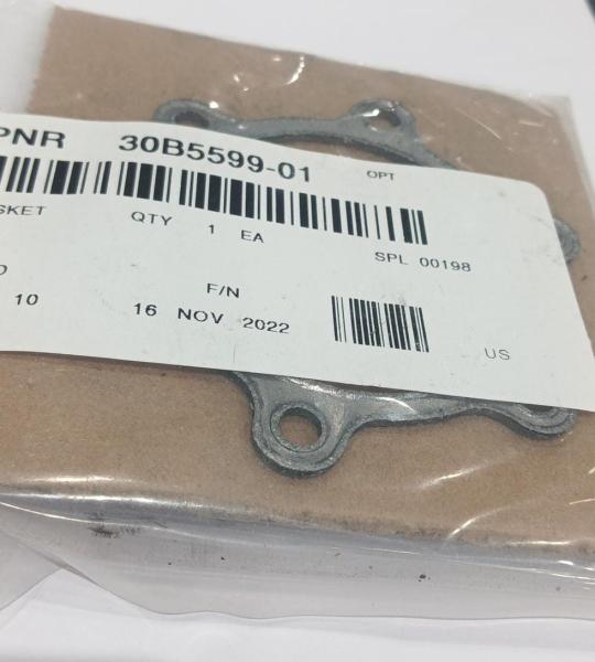 30B5599-01 GASKET