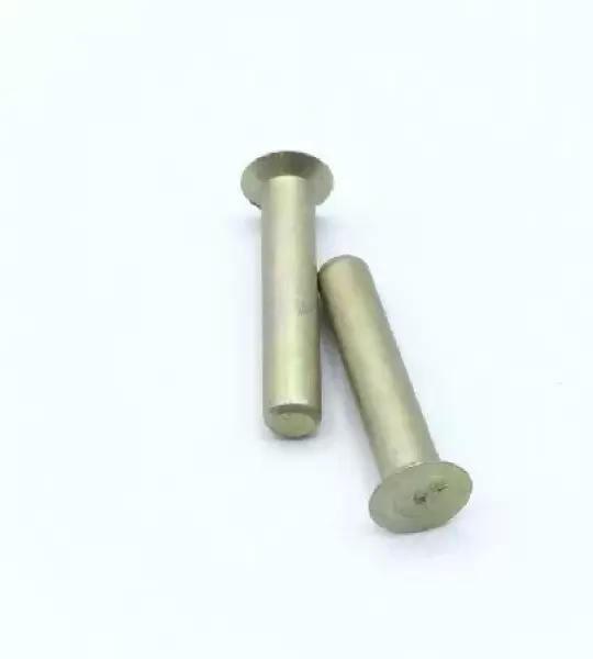 MS20470B2-10 RIVET
