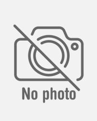 ALUMINIUM OXIDE GRIT 220