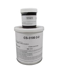 CS 3100