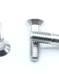 NAS1580V3T5  SCREW