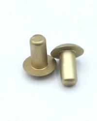 EN6081D6-05 RIVET