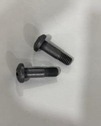 NSA5039-3-6   SCREW