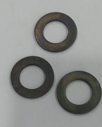 BACW10BP9P WASHER