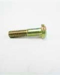 NAS220-17 SCREW