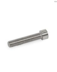 299-02-00424 CAP SCREW