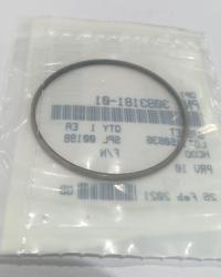 30B3181-01 GASKET