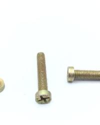 NAS1102E3-14P SCREW